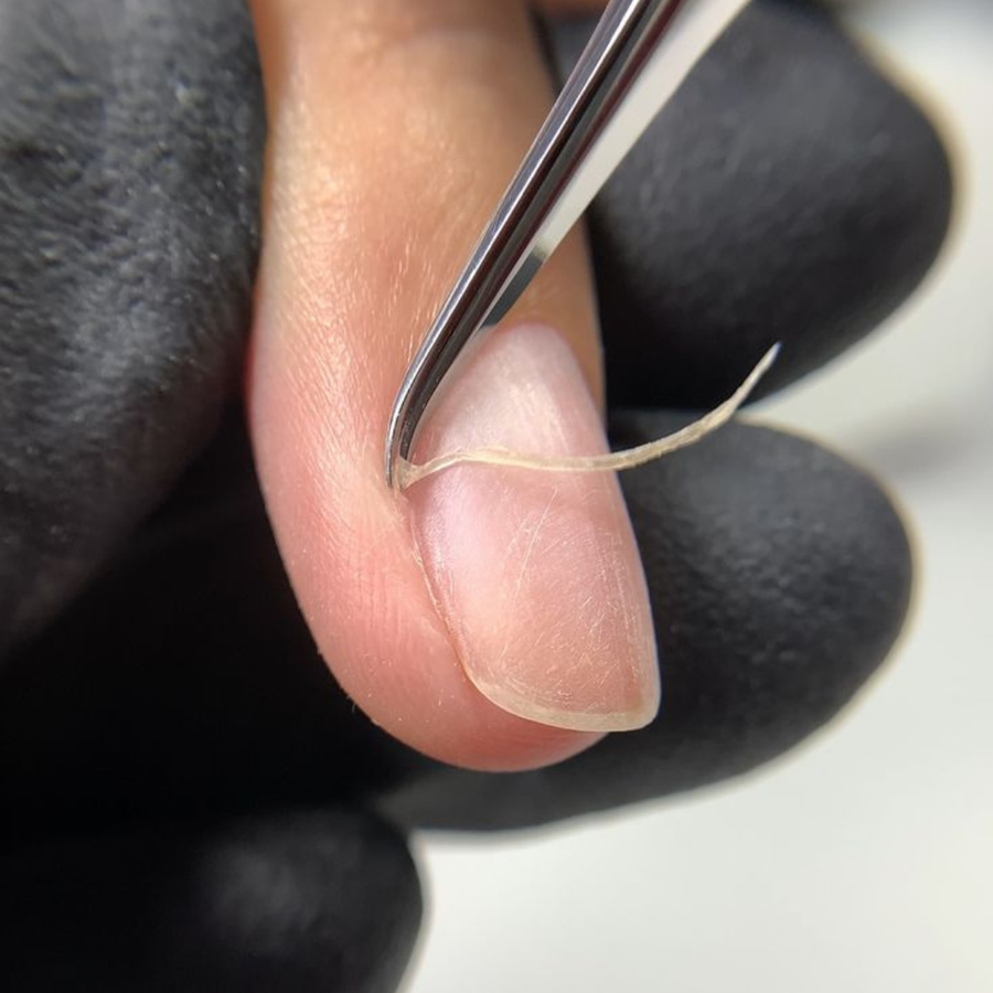 TRAVAIL DES CUTICULES